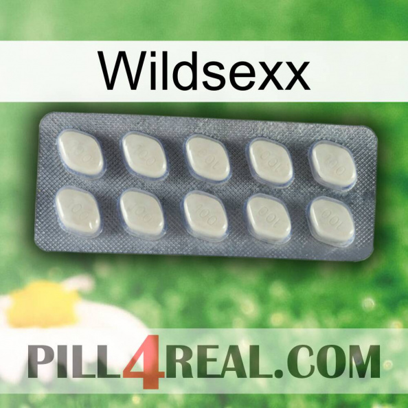 Wildsexx 08.jpg